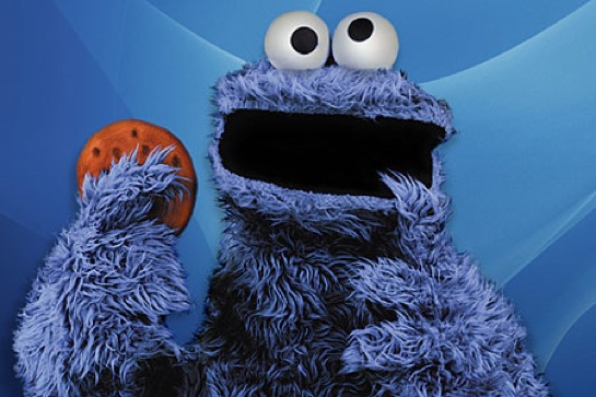 cookiemonster_450x300_545x363shkl