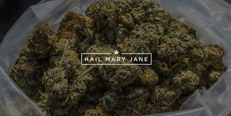 Best Ways To Conserve Your Weed Hail Mary Jane 